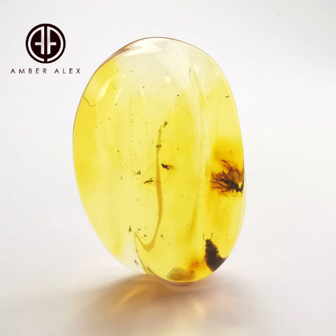 Free Shape Lemon Color Cabochon With Insects