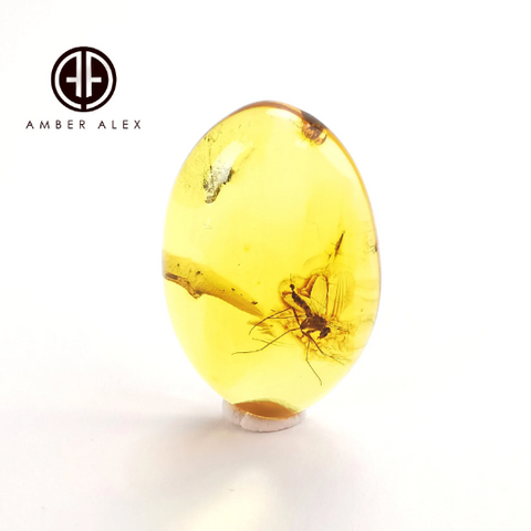 Lemon Color Free Shape Cabochon With Insects