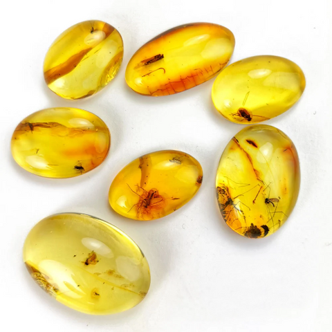 Lemon Color Free Shape Cabochon With Insects