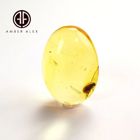 Lemon Color Free Shape Cabochon With Insects