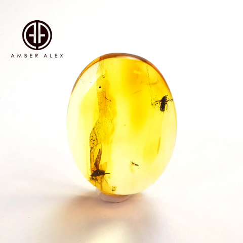 Lemon Color Free Shape Cabochon With Insects