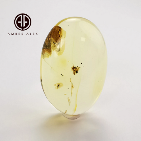 Lemon Color Free Shape Cabochon With Insects