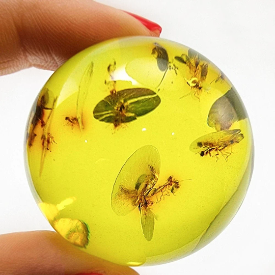 Green Amber Sphere Amber Stone With Insects
