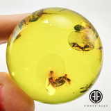 Green Amber Sphere Amber Stone With Insects