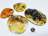 Fossil Amber Carved Taurus Cabochons