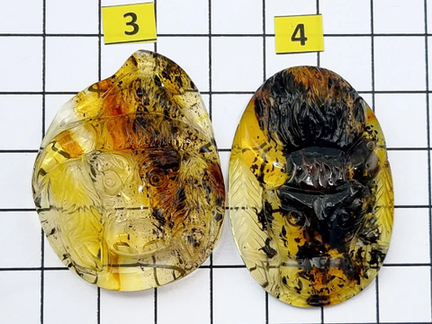 Fossil Amber Carved Taurus Cabochons