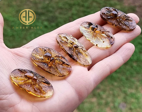 Fossil Amber Carved Spider Cabochons