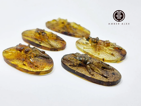 Fossil Amber Carved Spider Cabochons