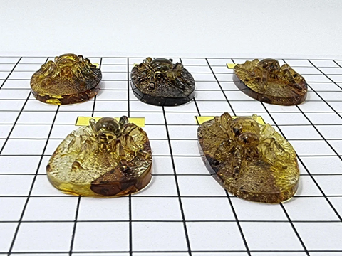 Fossil Amber Carved Spider Cabochons