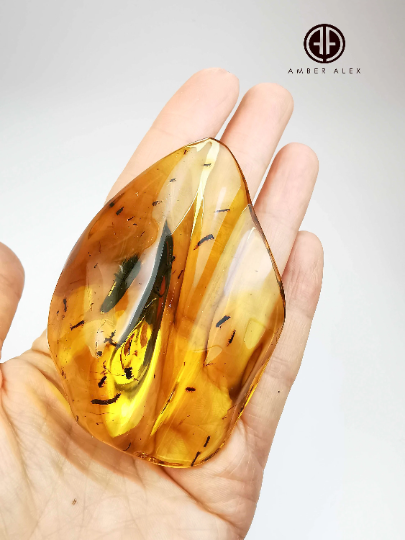 Lemon color Amber Stone With Insects