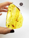 Free Shape Lemon Color Amber Stone With Insects