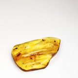 Free Shape Lemon Color Amber Stone With Insects