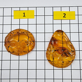Cognac Amber Carved Sun And Moon Cabochon