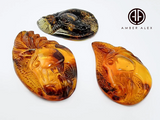 Cognac & Fossil Amber Carved Horse Cabochons