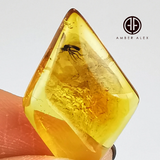 Free Rhombus Shape Lemon Color Cabochon With Insects