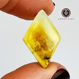 Free Rhombus Shape Lemon Color Cabochon With Insects