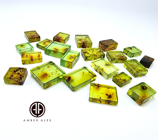 Green Amber Rectangular Shape Cabochons With Insects