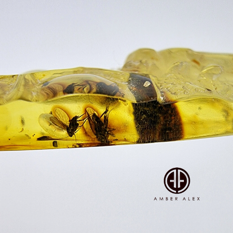 Natural Amber Carved Bee On Honeycomb Cabochon with Insects