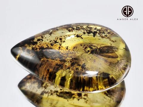 Fossil Amber Drop Shape Stone With Insects