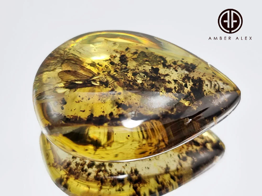 Fossil Amber Drop Shape Stone With Insects