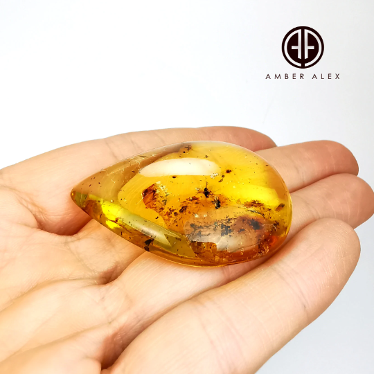 Natural Amber Drop Shape Cabochons With Insects