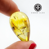 Natural Amber Drop Shape Stone With Insects