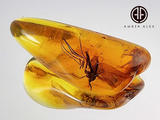 Cognac Amber Tumbled Stone With Insects