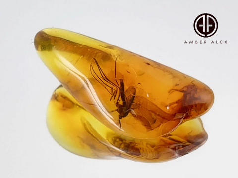 Cognac Amber Tumbled Stone With Insects