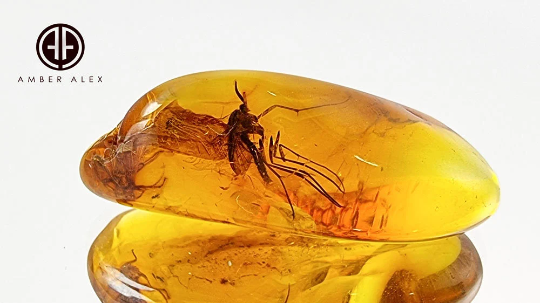 Cognac Amber Tumbled Stone With Insects