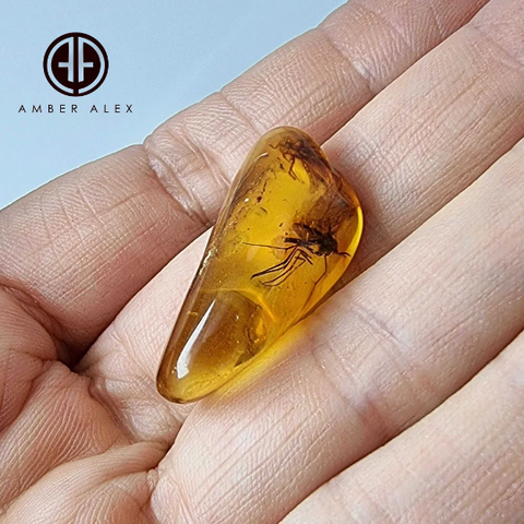 Cognac Amber Tumbled Stone With Insects