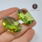 Green Amber Crystal Cut Stone With Insects