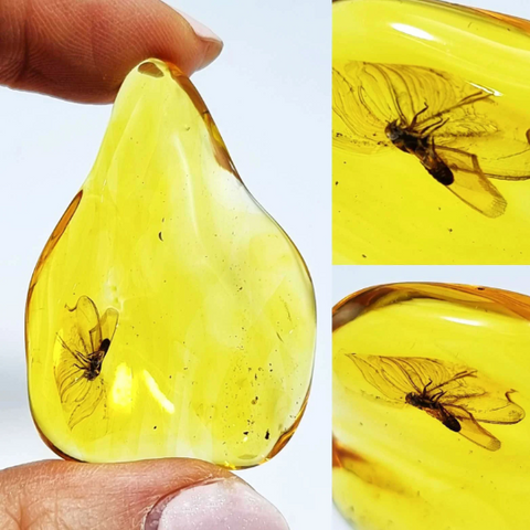 Natural Amber Wave Shape Stone With Insects