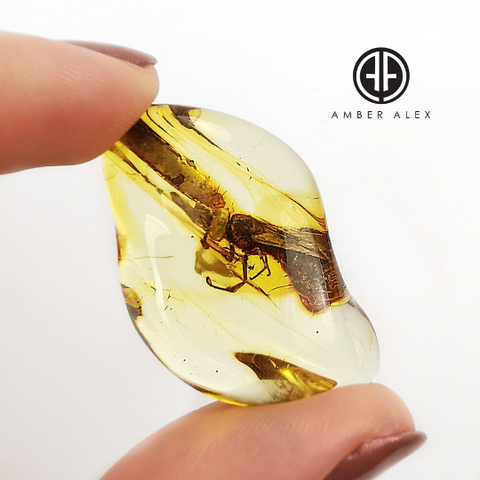 Natural Amber Wave Shape Stone With Insects