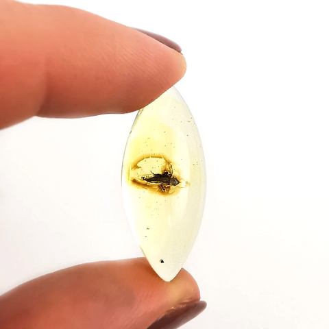 Natural Amber Marquise Cabochon With Insects