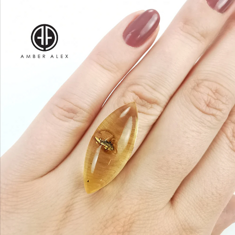 Natural Amber Marquise Cabochon With Insects