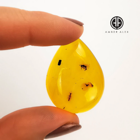 Natural Amber Drop Shape Stone With Insects