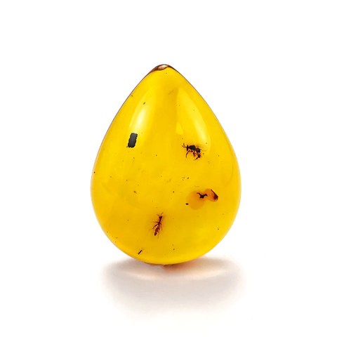 Natural Amber Drop Shape Stone With Insects