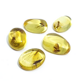 Lemon Amber Free Shape Cabochon With Insects