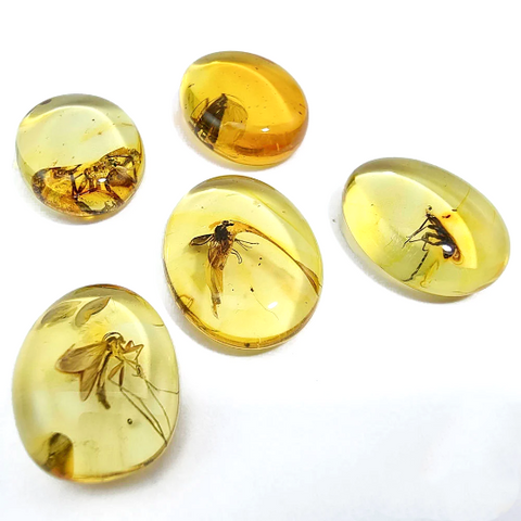 Lemon Amber Free Shape Cabochon With Insects