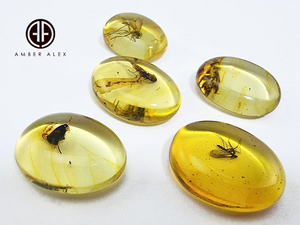 Lemon Amber Free Shape Cabochon With Insects