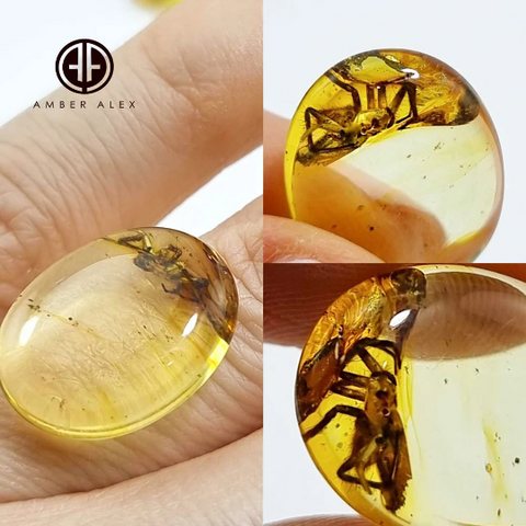 Lemon Amber Free Shape Cabochon With Insects