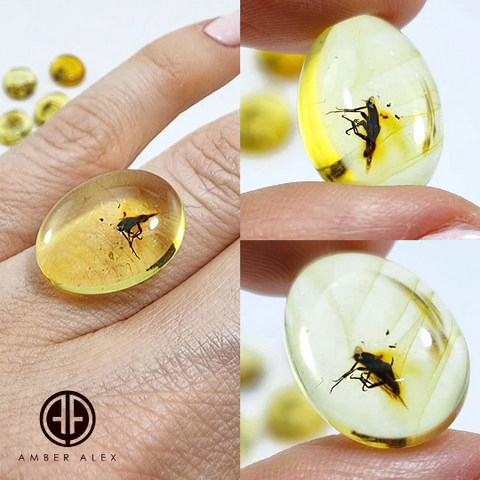 Lemon Amber Free Shape Cabochon With Insects