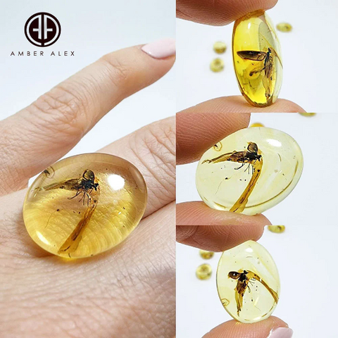 Lemon Amber Free Shape Cabochon With Insects