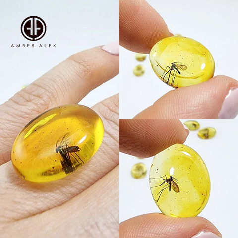 Lemon Amber Free Shape Cabochon With Insects