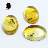 Lemon Amber Free Shape Cabochons With Insects