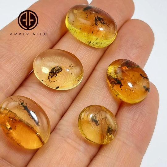 Lemon Color Free Shape Cabochon With Insects