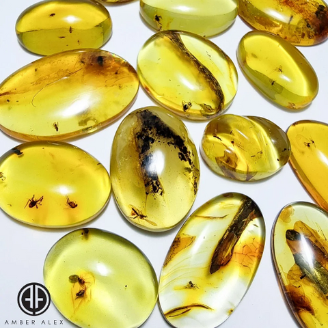 Fossil Amber Free Shape Cabochon With Insects