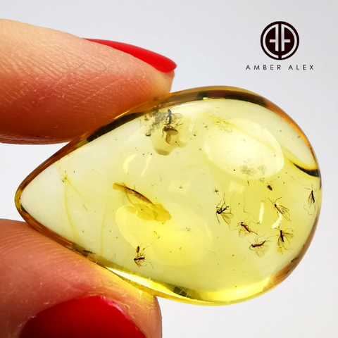 Natural Amber Drop Shape Stone With Insects