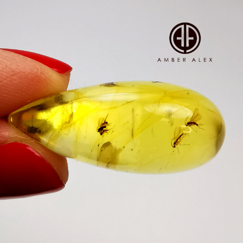 Natural Amber Drop Shape Stone With Insects