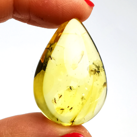 Natural Amber Drop Shape Stone With Insects